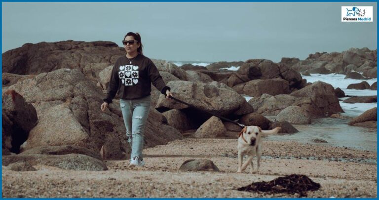 ¿Por qué mi perro se revuelca después de comer?