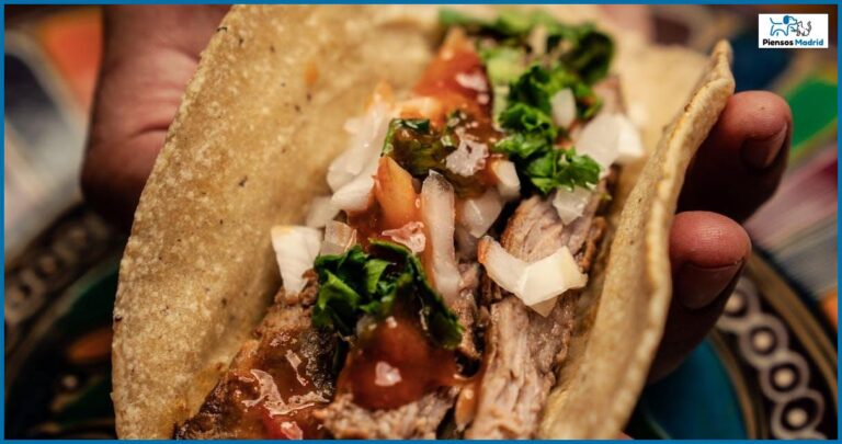 Recetas de comida casera para perros con insuficiencia renal Recetas de comida casera para perros con insuficiencia renal