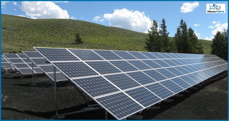 Sonar con perro comiendo excremento: Significado y simbolismo